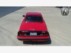 Thumbnail Photo 9 for 1987 Alfa Romeo Spider Quadrifoglio